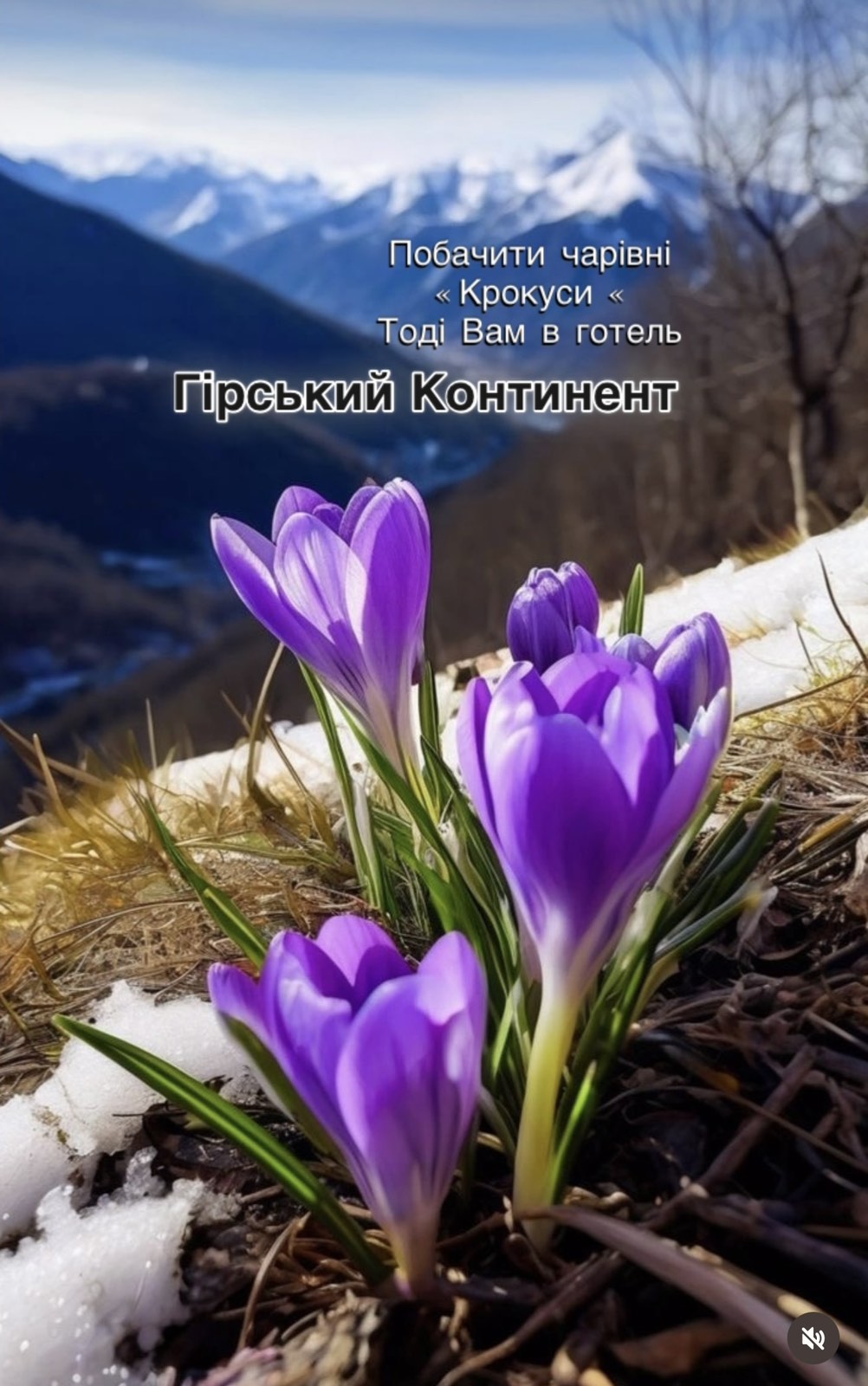 Готель ” ГІРСЬКИЙ  КОНТИНЕНТ”  Яблуниця